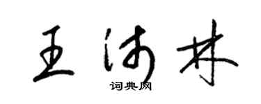 梁锦英王沛林草书个性签名怎么写