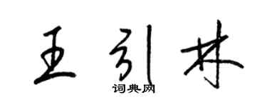 梁锦英王引林草书个性签名怎么写