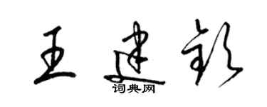 梁锦英王建钦草书个性签名怎么写