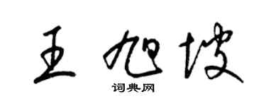 梁锦英王旭坡草书个性签名怎么写