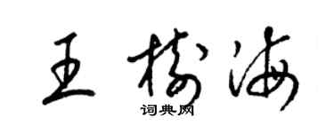 梁锦英王树海草书个性签名怎么写