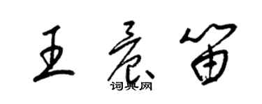 梁锦英王晨笛草书个性签名怎么写