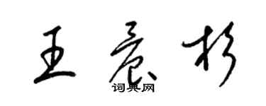 梁锦英王晨杉草书个性签名怎么写