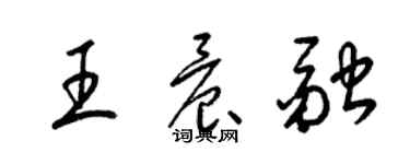 梁锦英王晨融草书个性签名怎么写