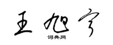 梁锦英王旭宁草书个性签名怎么写