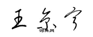 梁锦英王京宁草书个性签名怎么写