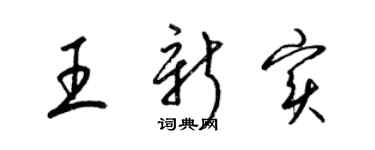 梁锦英王新实草书个性签名怎么写