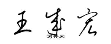 梁锦英王成宏草书个性签名怎么写