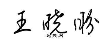 梁锦英王晓盼草书个性签名怎么写