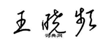 梁锦英王晓频草书个性签名怎么写