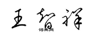 梁锦英王智祥草书个性签名怎么写