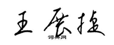 梁锦英王展捷草书个性签名怎么写