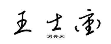 梁锦英王士冲草书个性签名怎么写