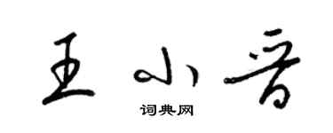 梁锦英王小晋草书个性签名怎么写