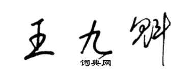 梁锦英王九魁草书个性签名怎么写