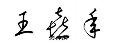 梁锦英王喜年草书个性签名怎么写
