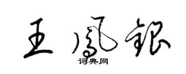 梁锦英王凤银草书个性签名怎么写