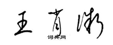 梁锦英王肖微草书个性签名怎么写
