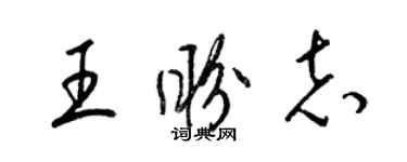 梁锦英王盼志草书个性签名怎么写