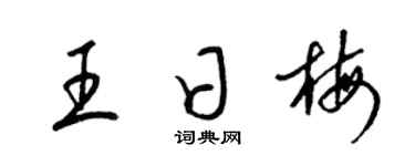 梁锦英王日梅草书个性签名怎么写