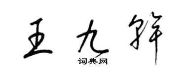 梁锦英王九干草书个性签名怎么写