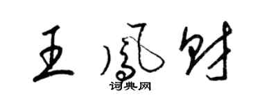 梁锦英王凤财草书个性签名怎么写