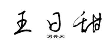 梁锦英王日甜草书个性签名怎么写