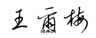 梁锦英王尔梅草书个性签名怎么写