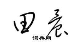 梁锦英田晨草书个性签名怎么写