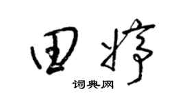 梁锦英田婷草书个性签名怎么写