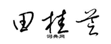 梁锦英田桂芝草书个性签名怎么写