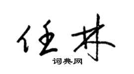 梁锦英任林草书个性签名怎么写