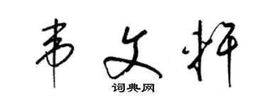 梁锦英韦文轩草书个性签名怎么写