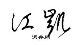 梁锦英江凯草书个性签名怎么写