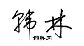 梁锦英韩林草书个性签名怎么写