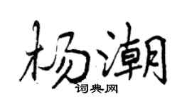 曾庆福杨潮行书个性签名怎么写