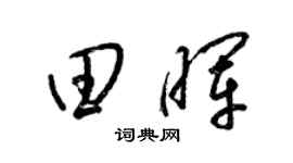 梁锦英田晖草书个性签名怎么写