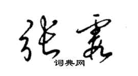 梁锦英张霞草书个性签名怎么写