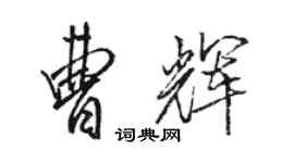 骆恒光曹辉行书个性签名怎么写