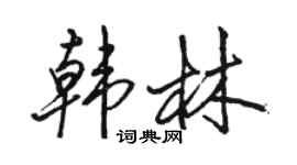 骆恒光韩林行书个性签名怎么写