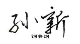 骆恒光孙新行书个性签名怎么写