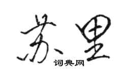骆恒光苏里行书个性签名怎么写