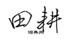 骆恒光田耕行书个性签名怎么写