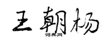 曾庆福王朝杨行书个性签名怎么写
