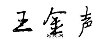 曾庆福王金声行书个性签名怎么写