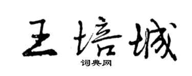 曾庆福王培城行书个性签名怎么写