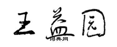 曾庆福王益园行书个性签名怎么写