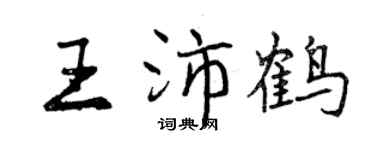 曾庆福王沛鹤行书个性签名怎么写