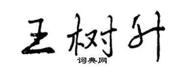 曾庆福王树升行书个性签名怎么写