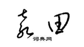 梁锦英袁田草书个性签名怎么写